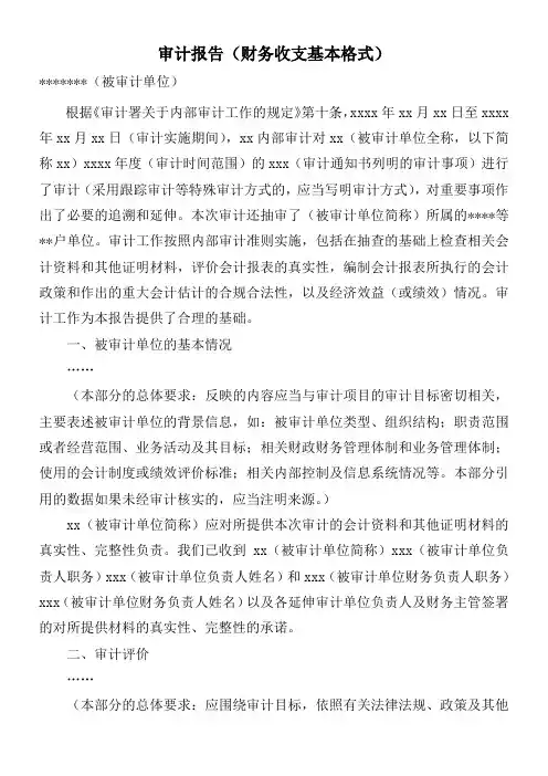 财务收支审计报告范本