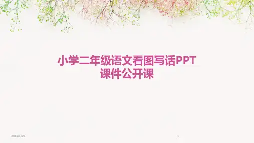 小学二年级语文看图写话PPT课件公开课(2024)