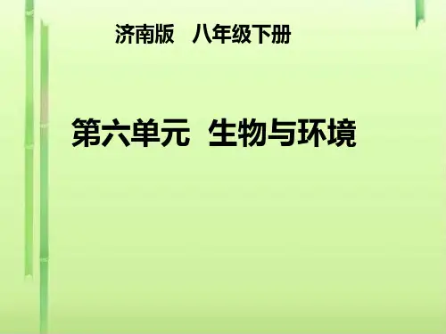 生物与环境专题复习PPT课件 济南版