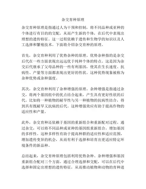 杂交育种原理