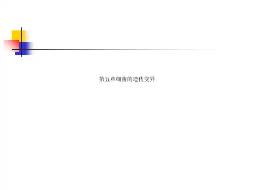 第五章细菌的遗传变异