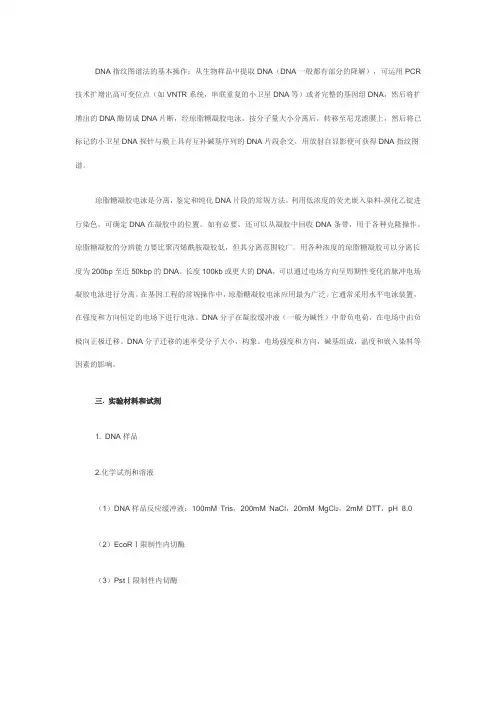 DNA指纹图谱分析