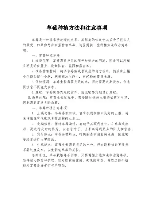 草莓种植方法和注意事项