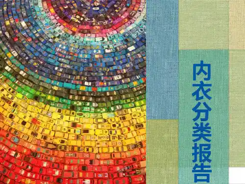 内衣种类与品牌分类