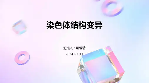 染色体结构变异