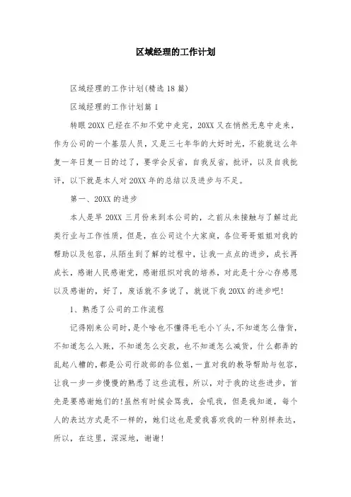区域经理的工作计划