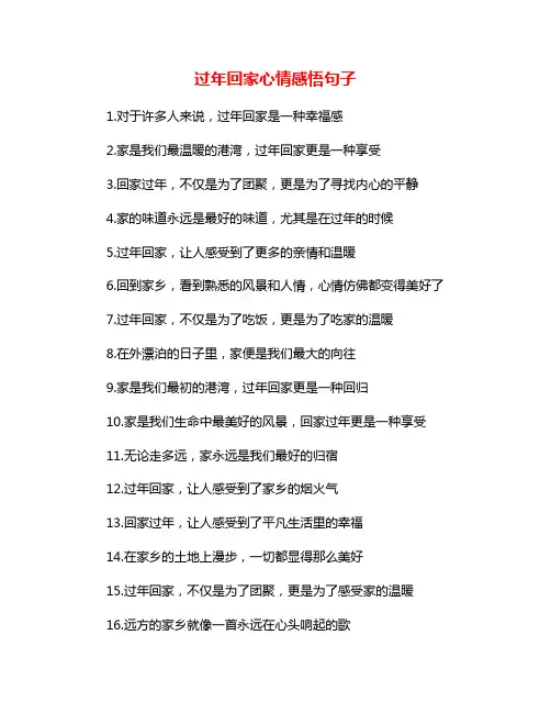 过年回家心情感悟句子