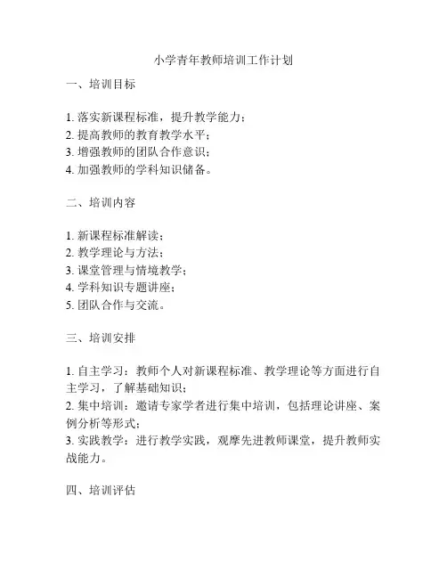 小学青年教师培训工作计划