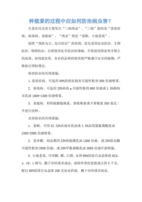 种植姜的过程中应如何防治病虫害？