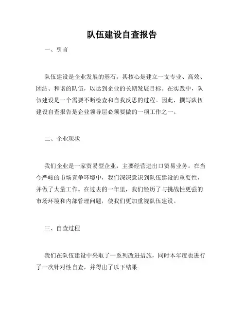 队伍建设自查报告