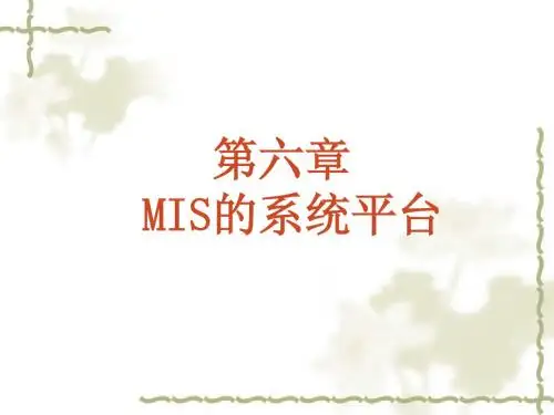 第6章 MIS的系统平台