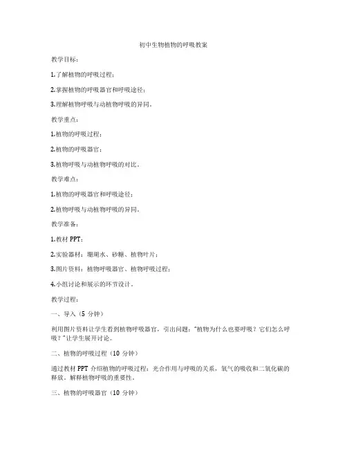 初中生物植物的呼吸教案