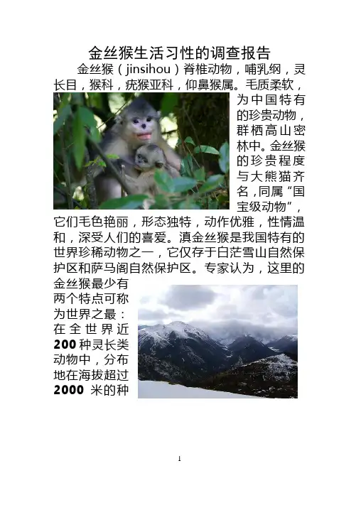 金丝猴生活习性的调查研究