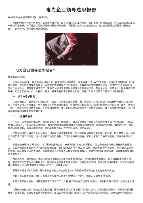 电力企业领导述职报告