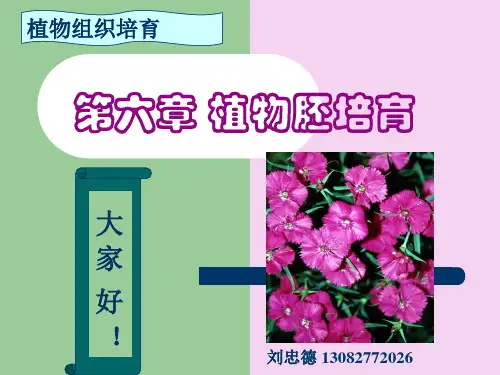第六章植物胚培养ppt课件