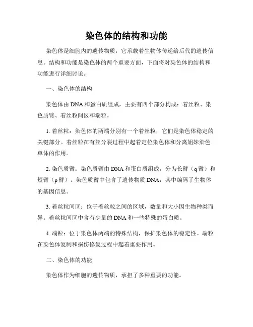 染色体的结构和功能