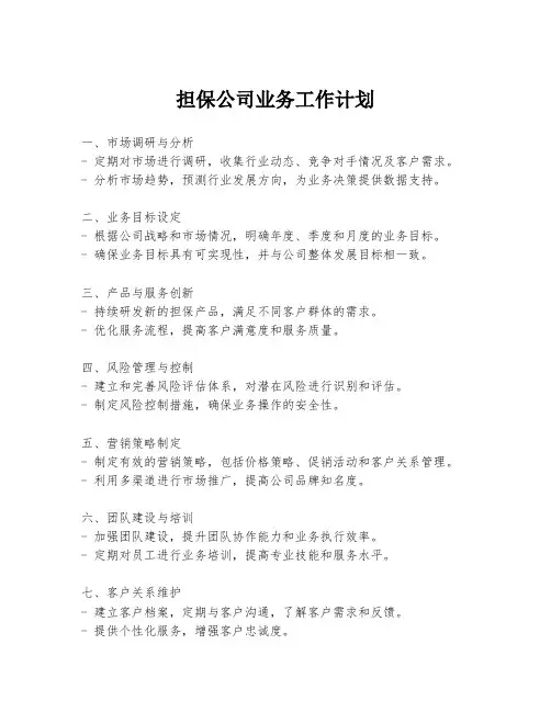 担保公司业务工作计划