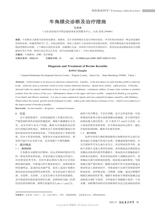 牛角膜炎诊断及治疗措施