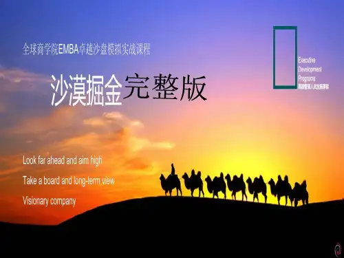 沙漠掘金操作方案[优质ppt]