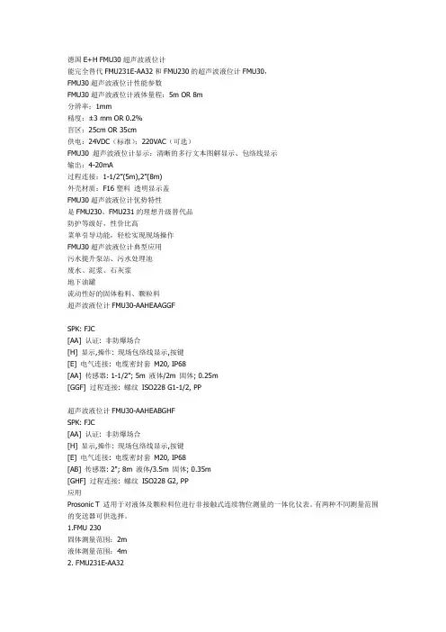 德国FMU30超声波物位计