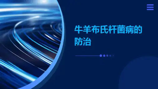 牛羊布氏杆菌病的防治