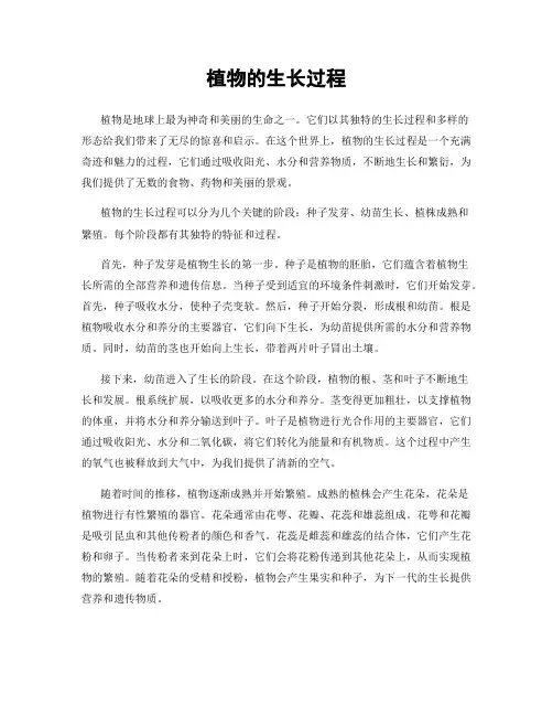 植物的生长过程