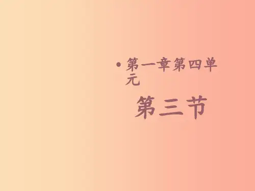 山东省八年级生物上册 4.1.3《果实和种子的形成》课件(新版)济南版PPT