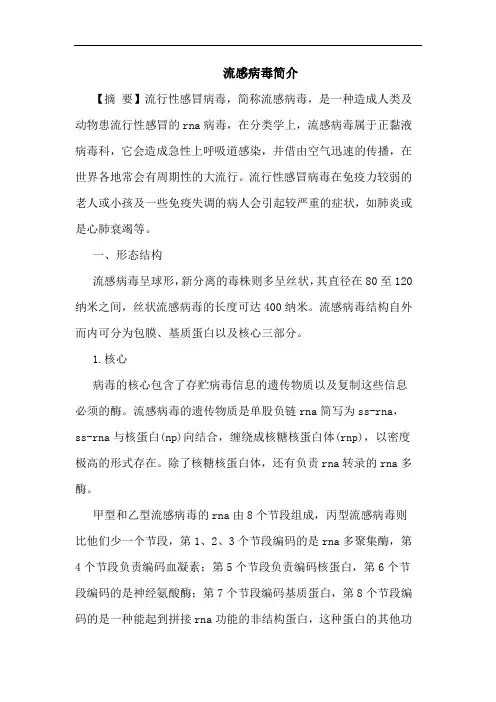 流感病毒简介