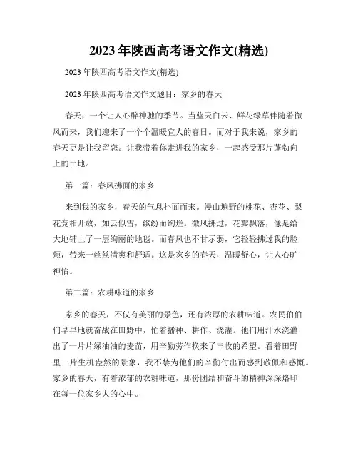2023年陕西高考语文作文(精选)