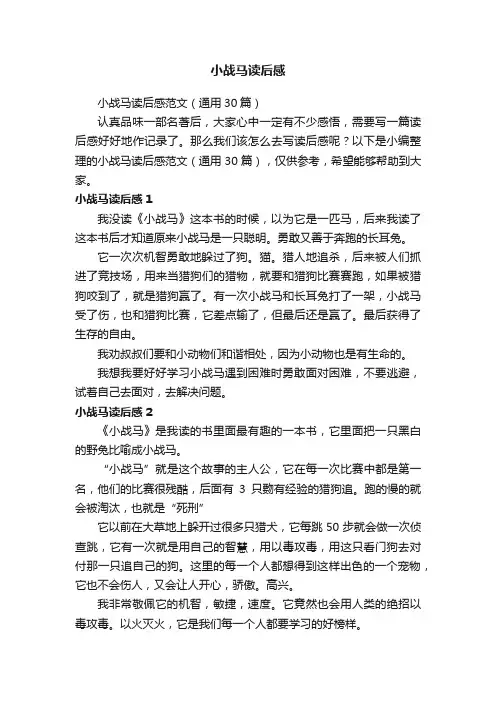 小战马读后感范文（通用30篇）