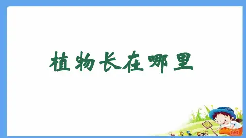 教科版一年级科学上册1.3《植物长在哪里》课件