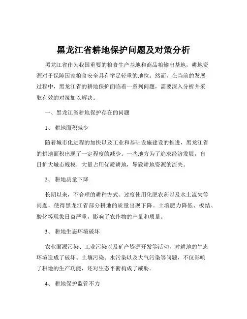 黑龙江省耕地保护问题及对策分析