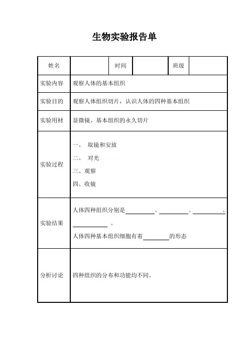生物实验报告单