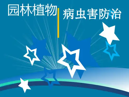 鞘翅目昆虫