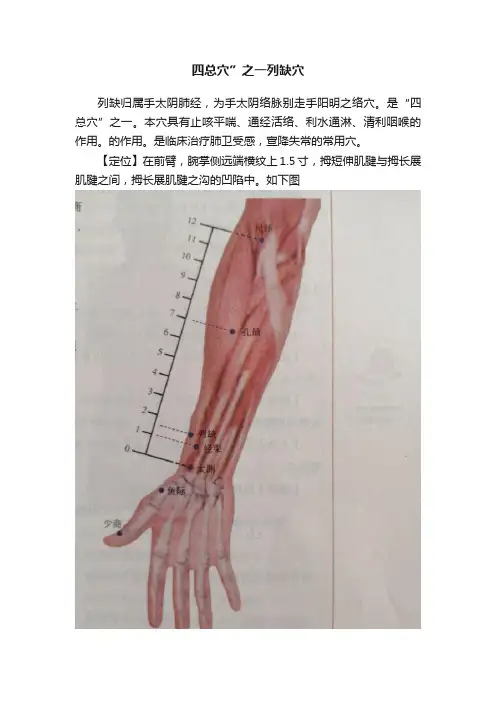 四总穴”之一列缺穴