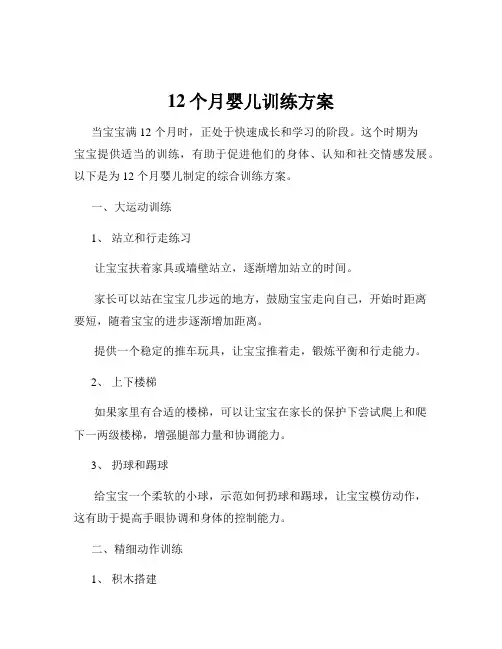 12个月婴儿训练方案
