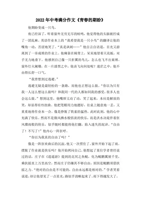 2022年中考满分作文《青春的期盼》