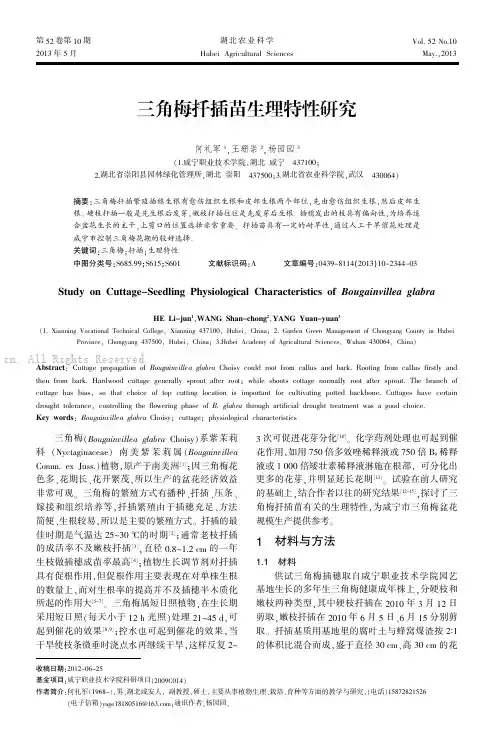 三角梅扦插苗生理特性研究