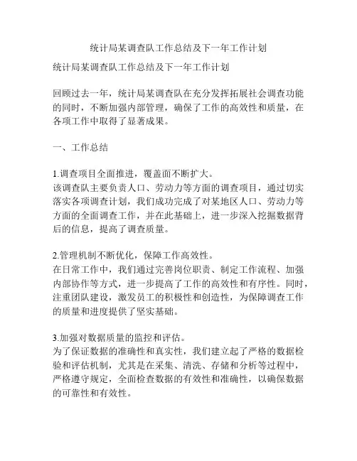 统计局某调查队工作总结及下一年工作计划