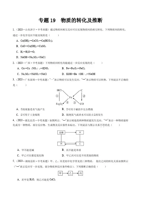 2024年中考化学真题分项汇编(全国通用)专题19 物质的转化及推断(第02期)(原卷版+解析)