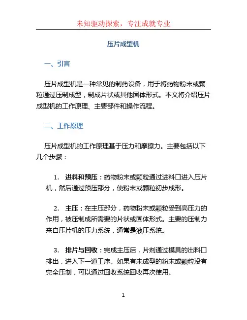 压片成型机(1)