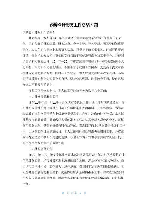 预算会计财务工作总结4篇