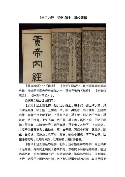 「学习内经」灵枢·第十三篇经筋篇