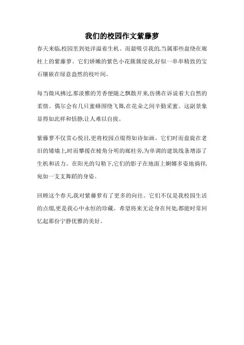我们的校园作文紫藤萝