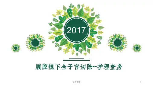 腹腔镜下全宫切护理查房
