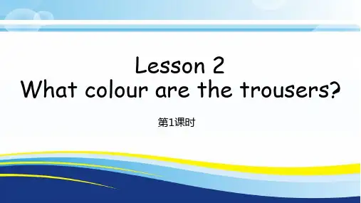 科普版英语四年级下册Lesson 2 What colour are the trousers课件