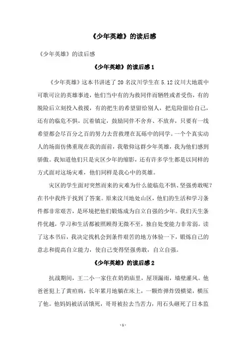 《少年英雄》的读后感