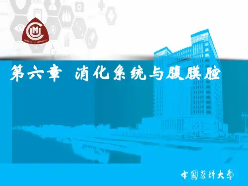 消化系统与腹膜腔3-精品医学课件