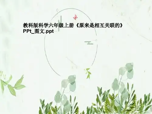 教科版科学六年级上册《原来是相互关联的》PPt_图文