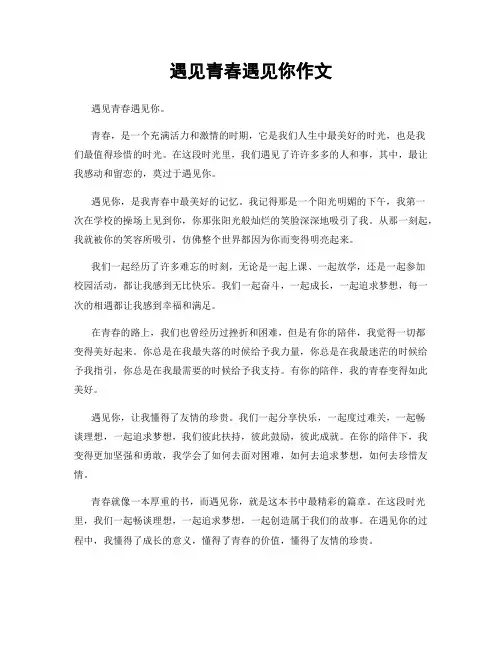 遇见青春遇见你作文